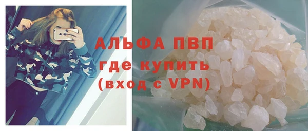 хмурый Аркадак
