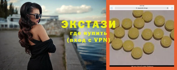 хмурый Аркадак