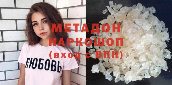 хмурый Аркадак