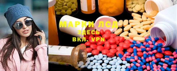 хмурый Аркадак