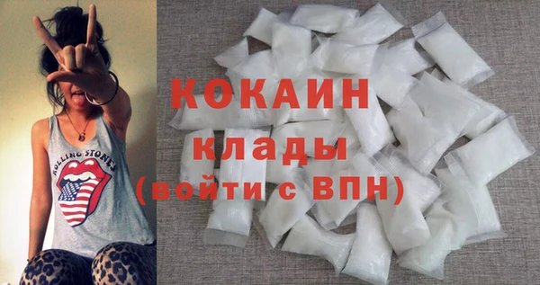 хмурый Аркадак