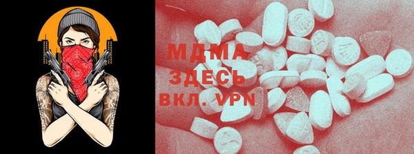 хмурый Аркадак