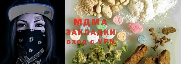 хмурый Аркадак