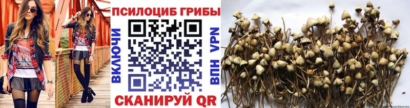 Галлюциногенные грибы Magic Shrooms Салехард